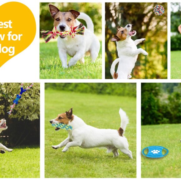 8-Pack Dog Rope Toy Set – Interactive Chew Toys for Puppies - Picture 14 of 14